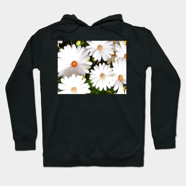 Daisy Flowers Hoodie by TMaikousis